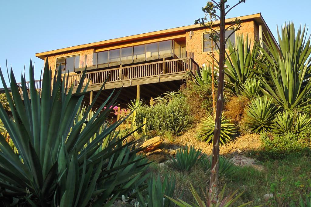 Villa Starfish Surf House Jeffreys Bay Habitación foto
